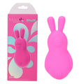 Maia BRI -  -  9 cm USB Rechargeable Vibrating Bunny Bullet