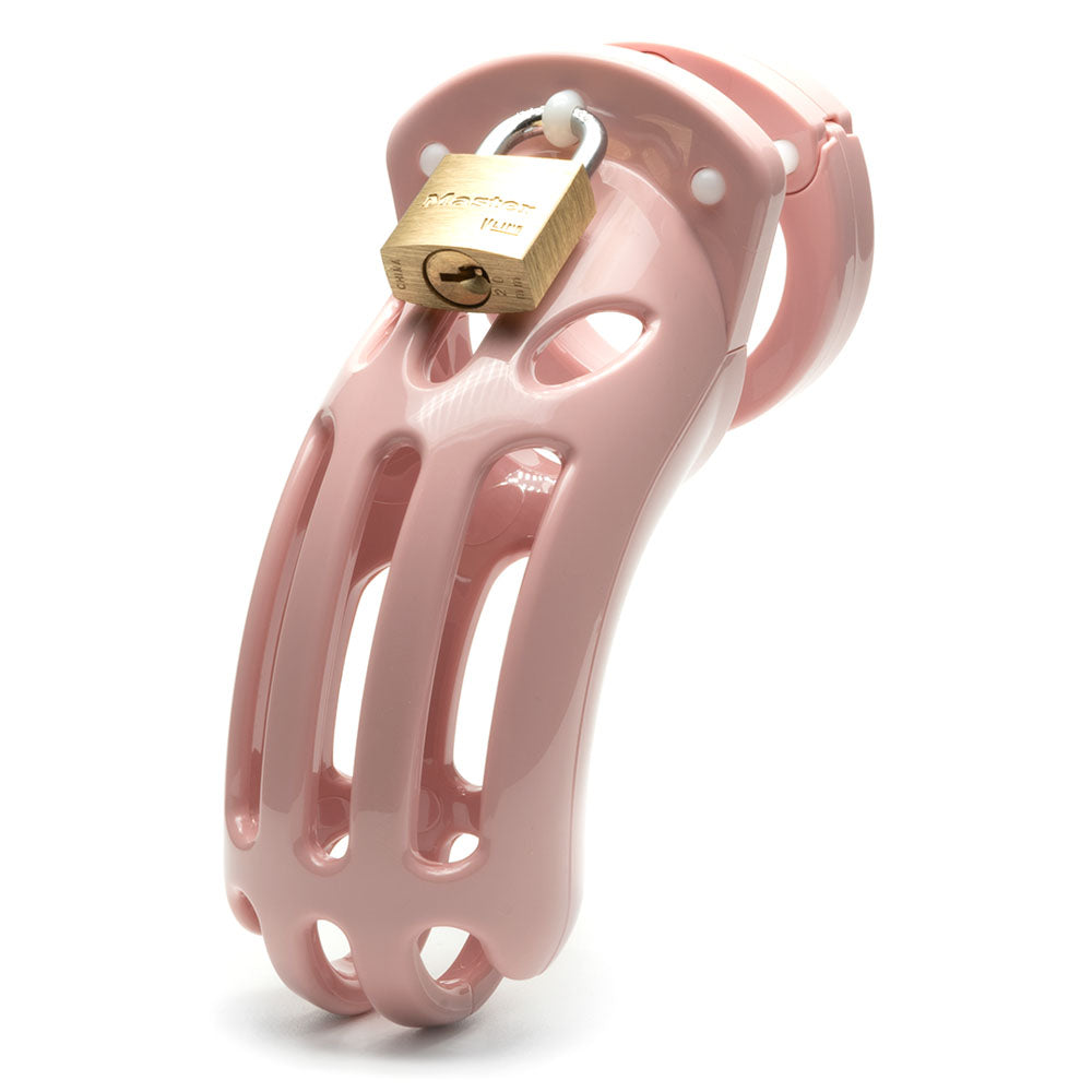 The Curve Chastity Cock Cage Kit -  -  3.75 Inch Cock Cage Kit