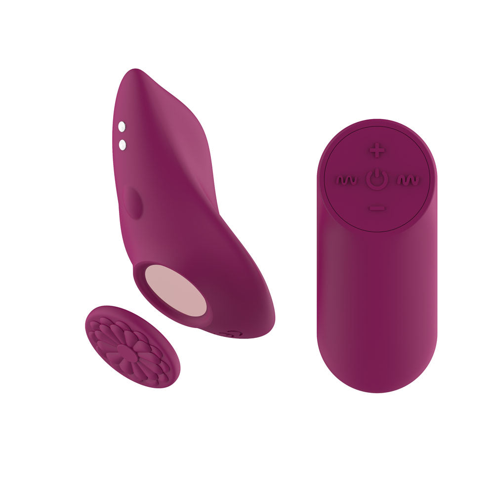 Passion Play Magnet Panty Vibe with Remote -  USB Rechargeable Panty Vibrator with Wireless Remote Control