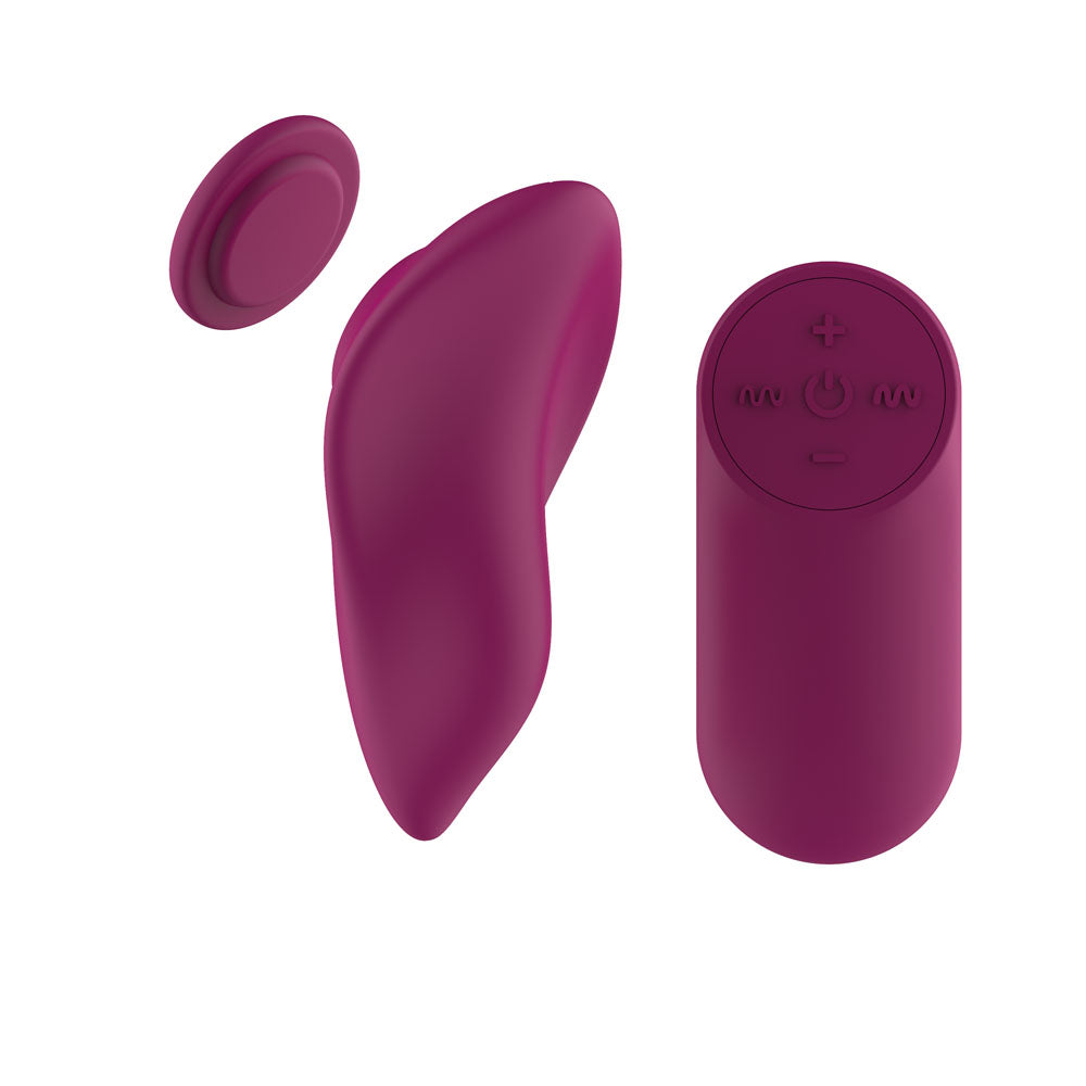 Passion Play Magnet Panty Vibe with Remote -  USB Rechargeable Panty Vibrator with Wireless Remote Control