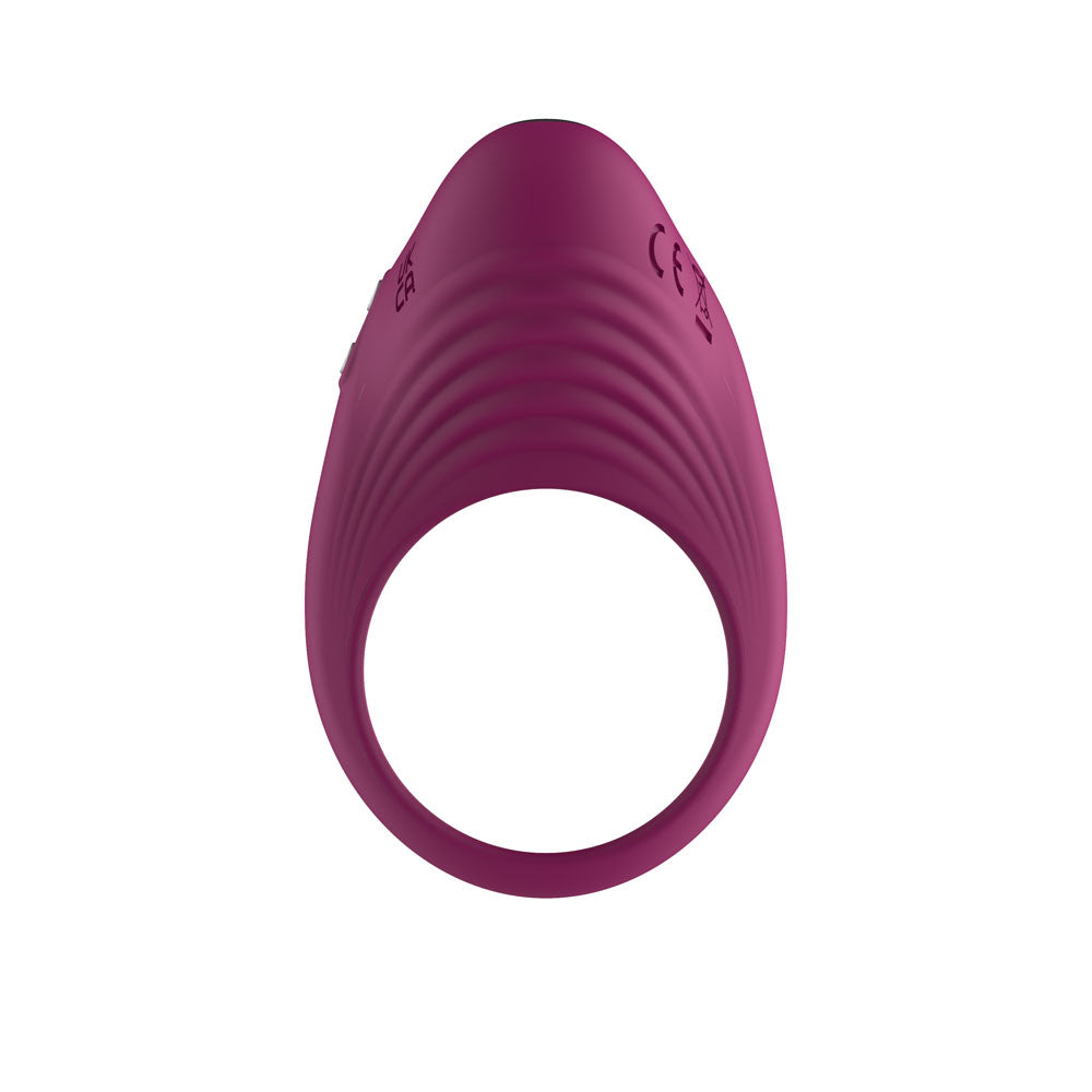 Passion Play Silicone Vibrating Cockring -  USB Rechargeable Penis Ring